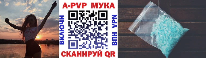дарнет шоп  Почеп  A PVP СК КРИС 