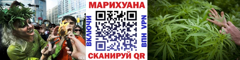blacksprut ТОР  это Telegram  Почеп  Канабис сатива  закладка 